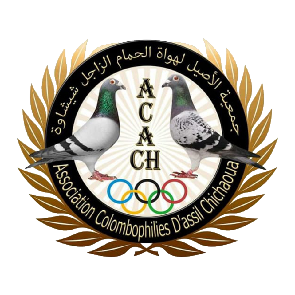 ASSOCIATION COLOMBOPHILES D'ASSIL CHICHAOUA