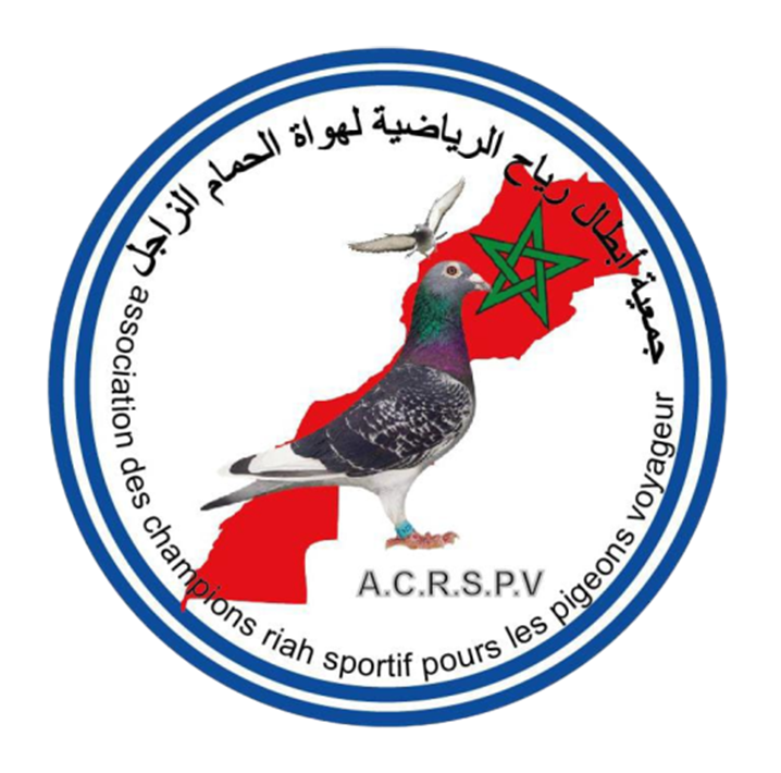 Association des champions RIAH Sportif pour les pigeons voyageurs