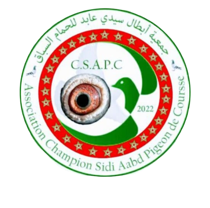 Association Champion Sidi Aabd Pigeon de Course