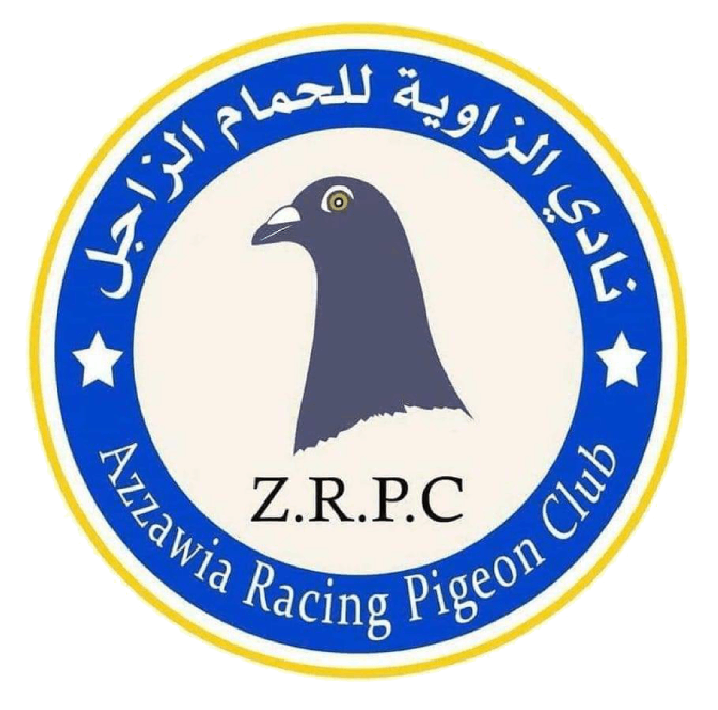 نادي الزاوية للحمام الزاجل