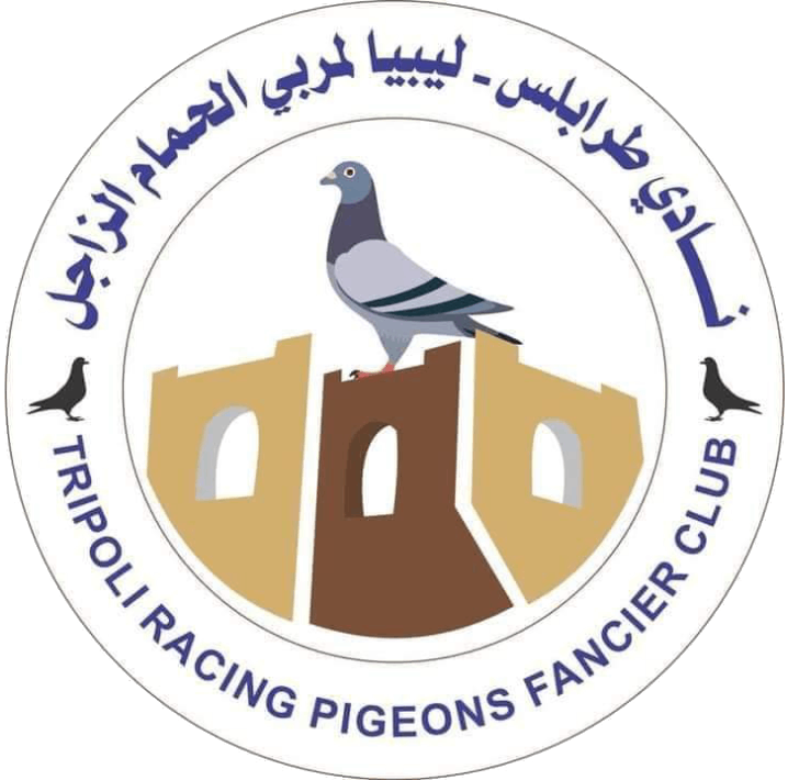 نادي طرابلس - ليبيا لمربي الحمام الزاجل