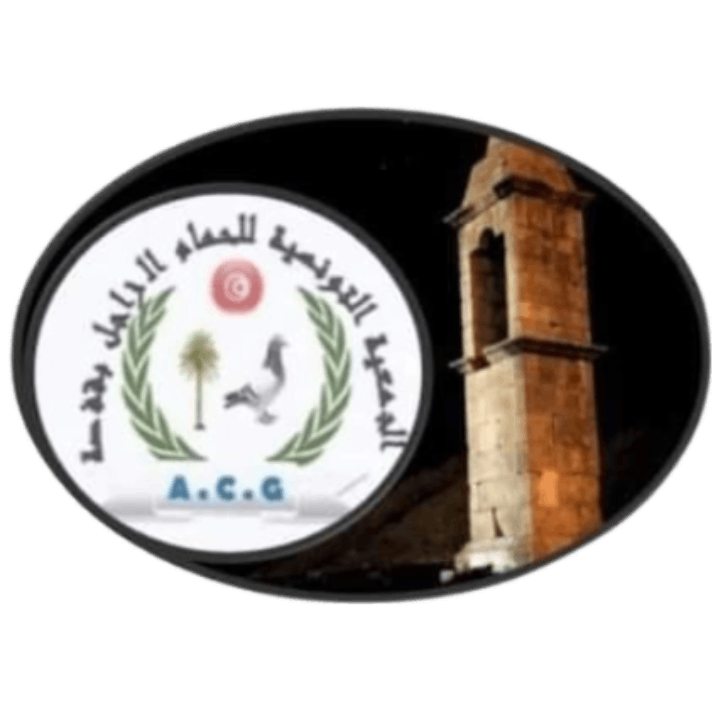 الجمعية التونسية للحمام الزاجل بقفصة