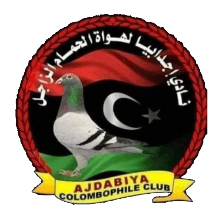 نادي اجدابيا لهواة الحمام الزاجل