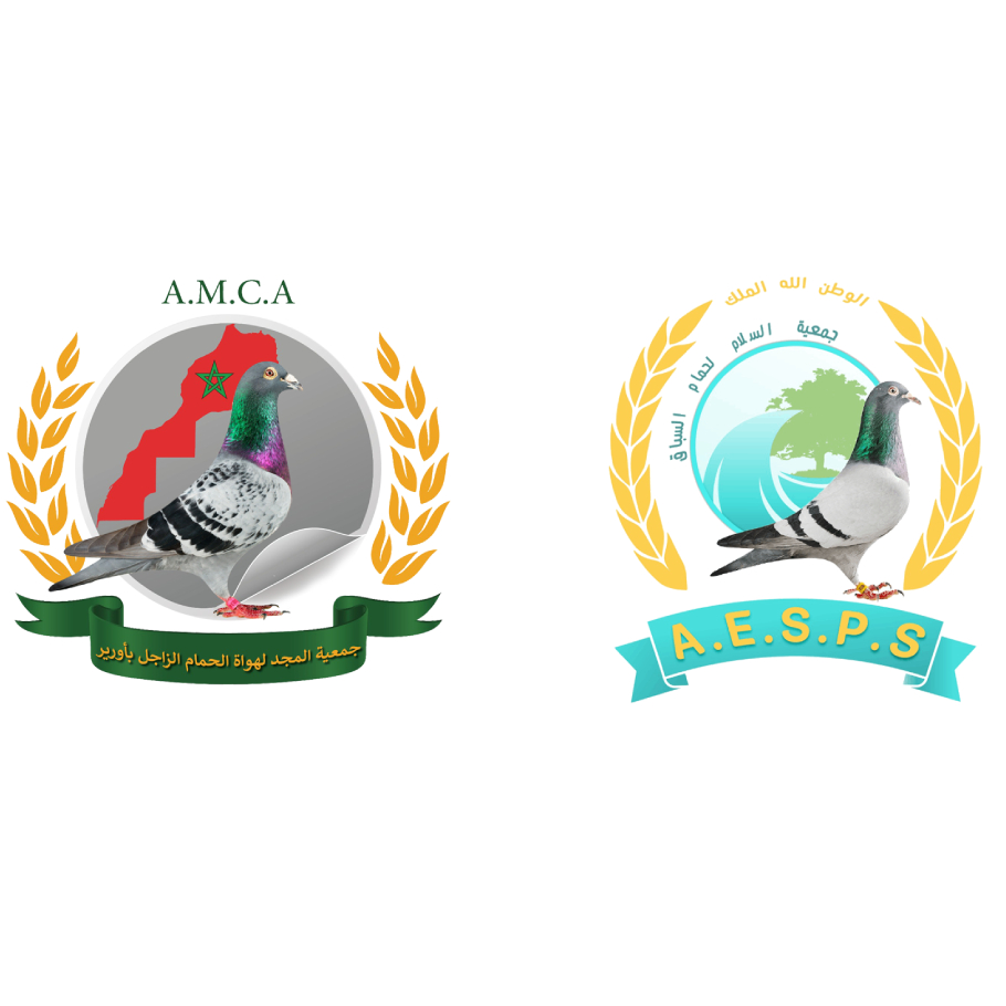 توأمة أورير-تدارت