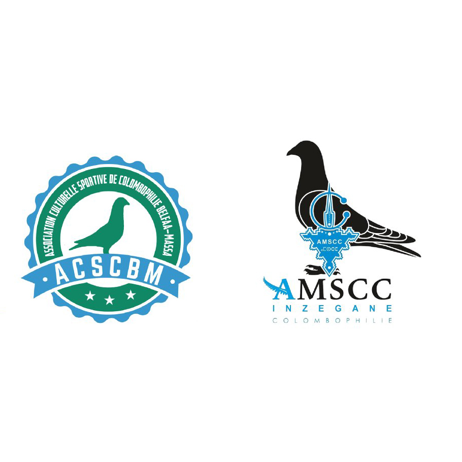 تنسيقية انزكان-ماسة