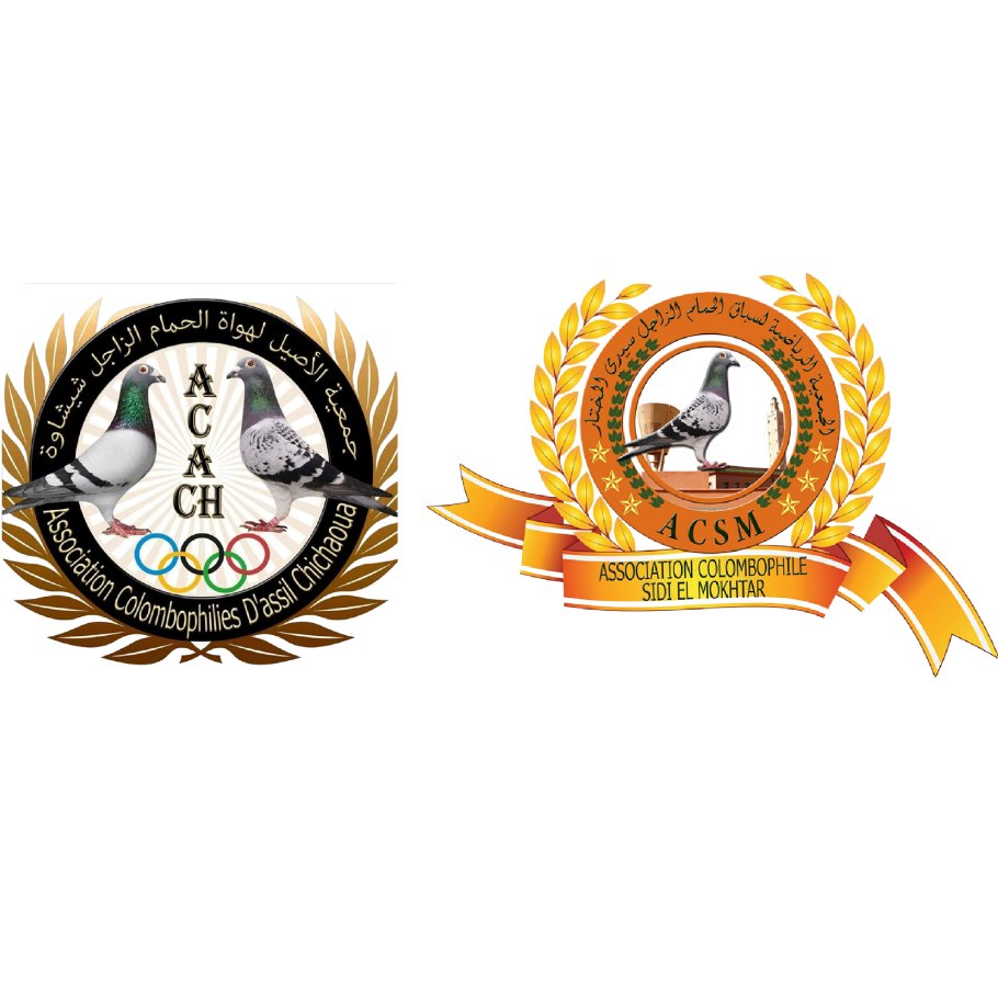 تنسيقية شيشاوة ـ سيد المختار