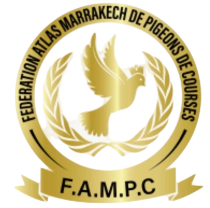 FEDERATION ATLAS MARRAKECH DE PIGEONS DE COURSE