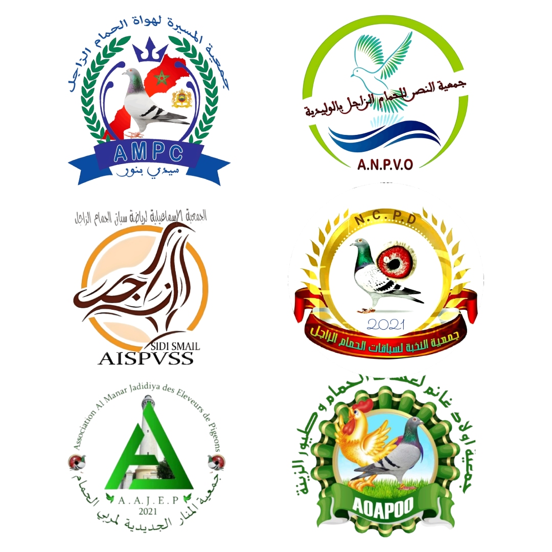 تنسيقية الوسط - جهة دكالة (النتائج المشتركة)