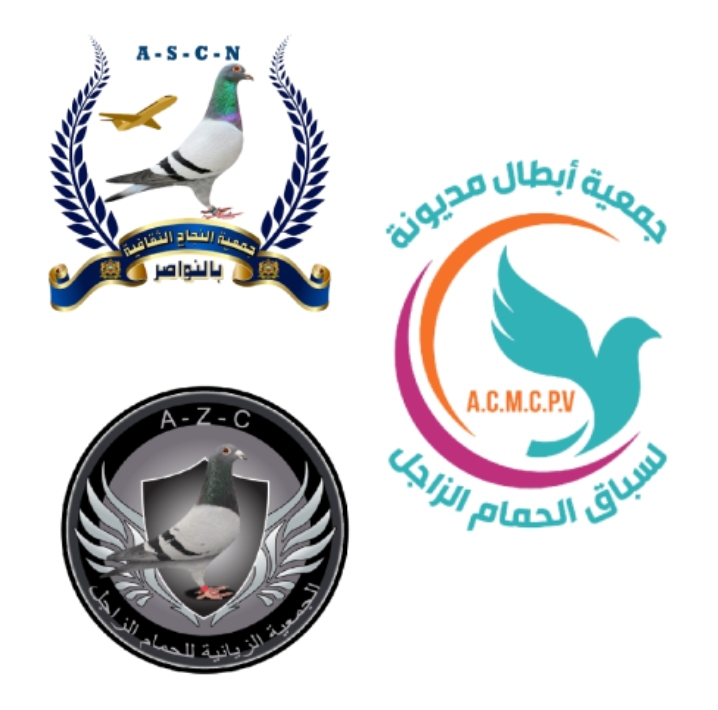 Tolatiyat AZIYANIYA - NOUACER - MEDYONA