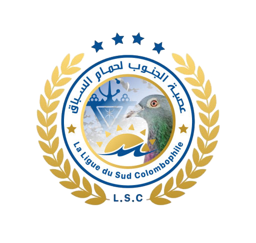 عصبة الجنوب 