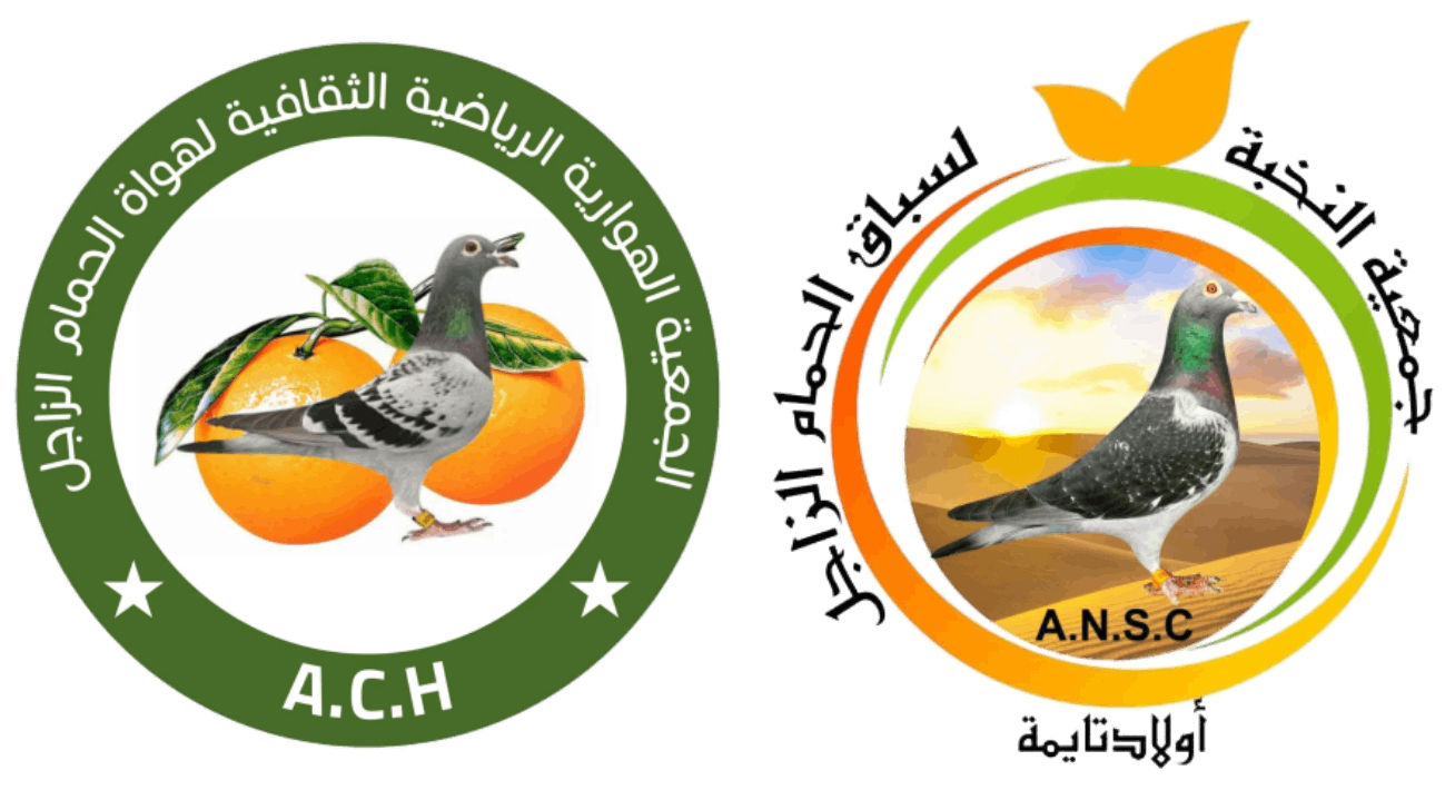 HOUARA - OULAD TAIMA